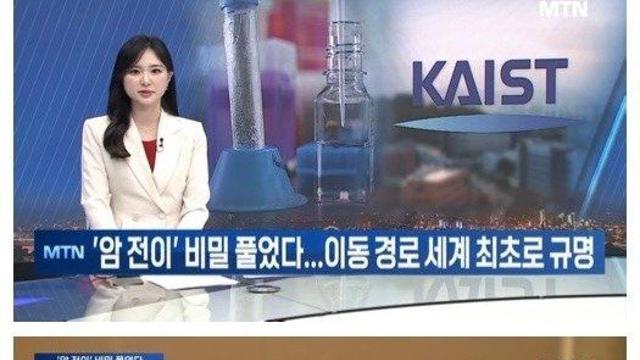 카이스트 암 이동 경로 세계 최초 규명.jpg