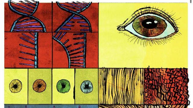 거물급 인물들이 유전자 조작 아기에 투자중인거 밝혀짐