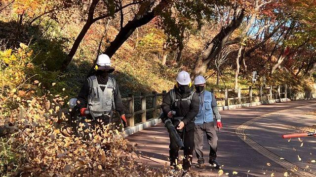 '내집 뒷산 산불 예방'…울산시, 주민 참여 낙엽 제거 활동