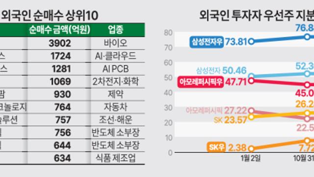 11월에만 '10조 매도' 나선 외국인…AI·우선주·LG그룹株는 담았다