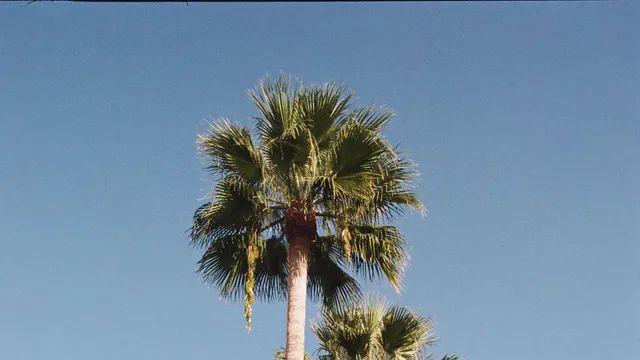 일본(후쿠오카) 여행 사진 (21장)