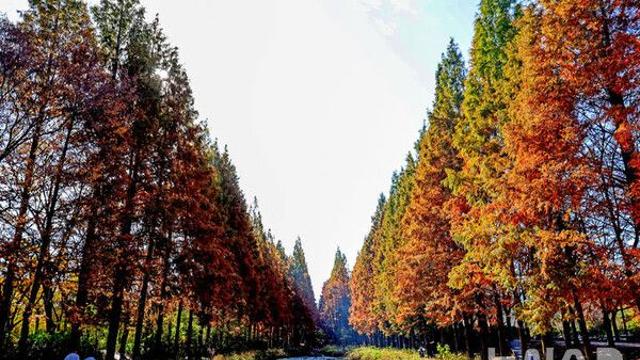 대구·경북 기온 큰 폭 하락…낮에도 찬바람 불어 쌀쌀