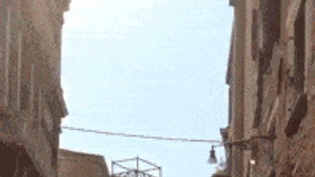 전문직이라는 베네치아 곤돌라 벳사공.