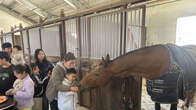 경기도 유소년, 말과 눈 맞추다…‘마주(馬走)하는 승마교실’ 성료