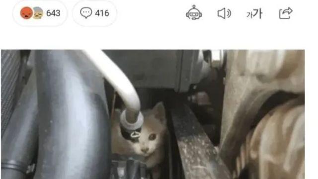 참교육썰 함부로 따라하면 안 되는 이유