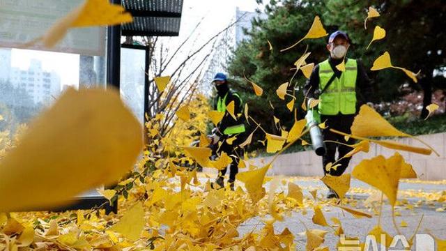 대구·경북, 맑고 큰 일교차…아침 영하 6도·한낮 9도