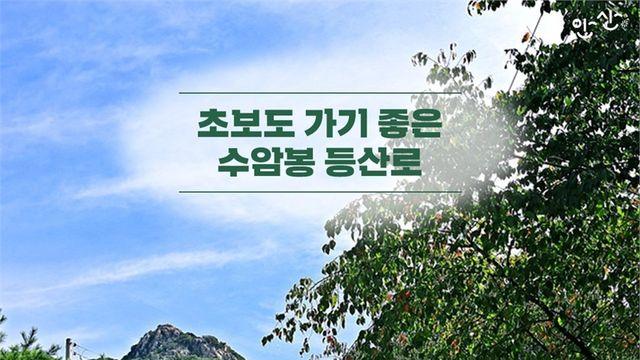 안산 수리산 수암봉 핫스폿 총정리… 지금 가야 예쁘다