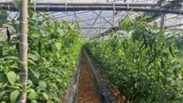 농촌진흥청, '현장 진단 처방법'으로 토양 양분 관리하세요