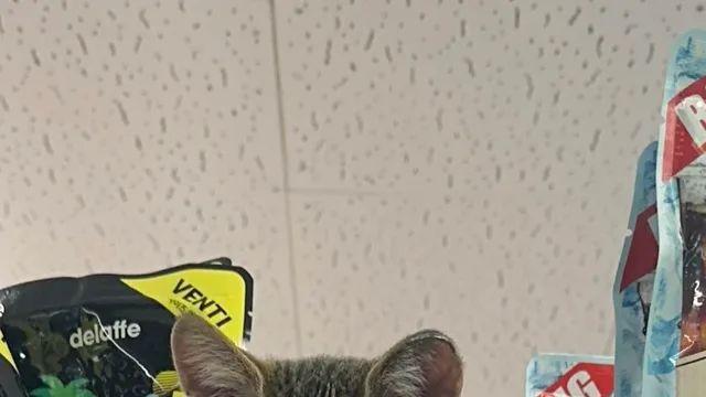 편의점 왔는데 이거 뭐냐...