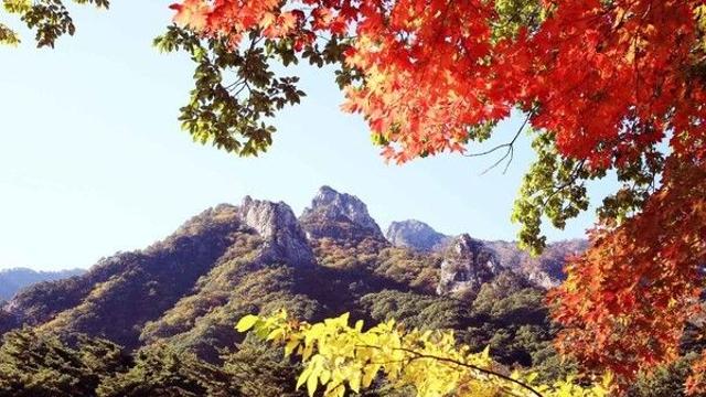 강원 속초시 가볼 만한 곳, 설악의 품에서 만나는 가을 미식 기행