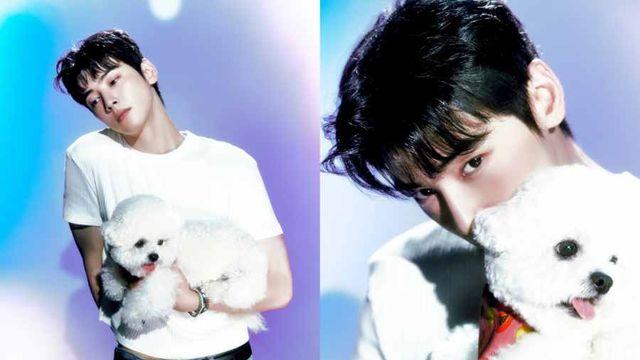 차은우의 애완견이 부럽다! 반려견과 함께한 콘셉트 포토 공개