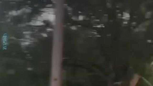 지구 1짱이 말하는 실전최강무술 [그라운드충 필독]