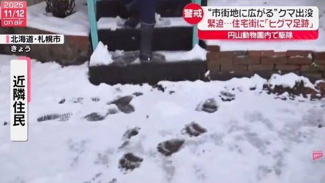 일본 삿포로 주택가 근황 