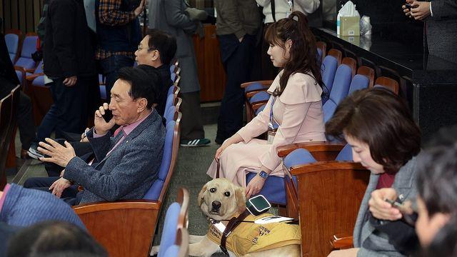 與, '장애인 과도 할당' 국힘 대변인에 