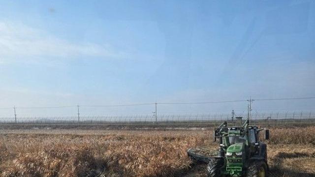 한강하구 갈대, 축산업계의 숨통 틔우나