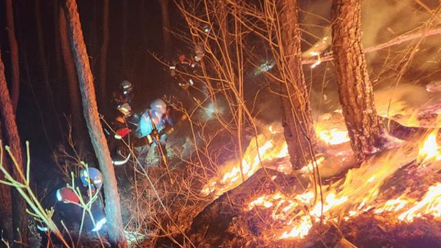 양평 산불, 3시간 40분만에 진화...인명피해 없어