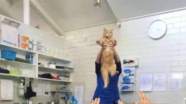 수의사들이 단체로 털바퀴 앞에서 무릎까지 꿇은 이유