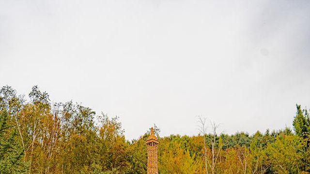 가을 나들이 가볼만한 곳 ④피나클랜드·온양민속박물관·곡교천 은행나무길