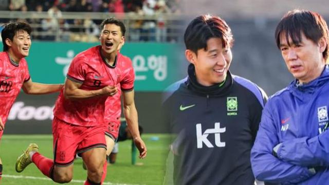 홍명보호, 월드컵 