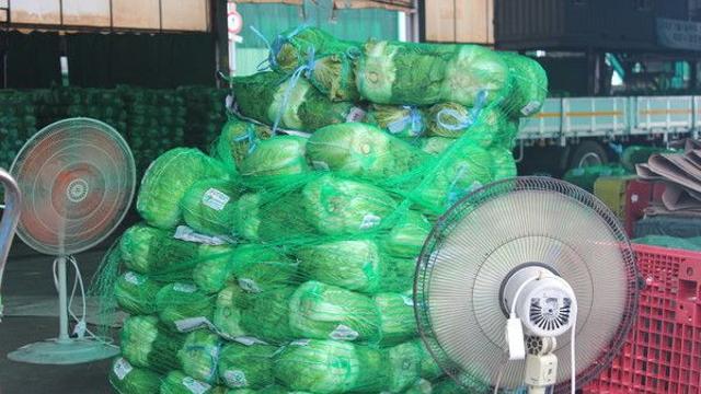 “폭염·집중호우 여파 넘겼다”···‘김장철’ 앞두고 배추가격 절반 수준으로 ‘하락’