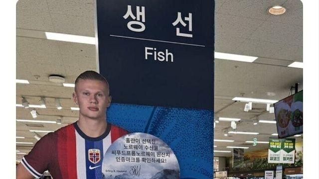 마트 생선가게 광고모델 레전드