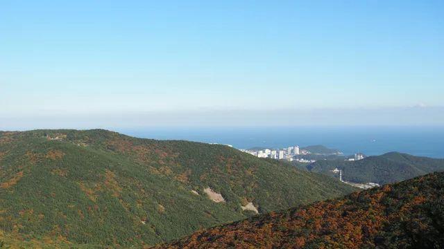 이런 나라도 봐줄래..?