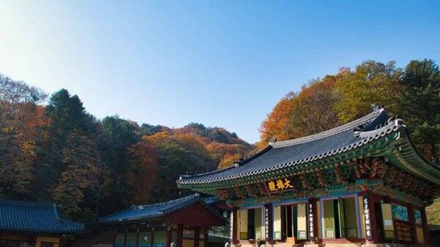 원주 가볼 만한 곳, 가을 풍경 속 역사와 문화를 만나다.