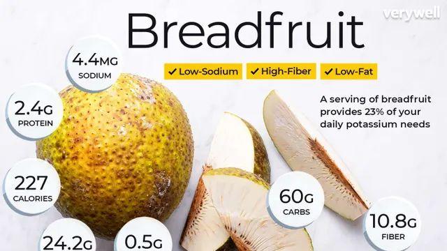 빵 맛이 난다는 열매.jpg,,