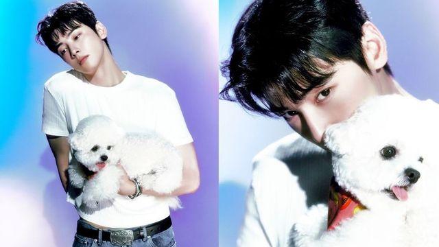 차은우, 신곡 앞서 콘셉트 포토 공개…반려견 동동이와 환상 케미