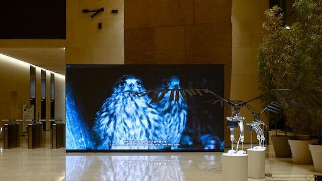 기업은행, IBK 아트스테이션 2025 세 번째 전시 개최