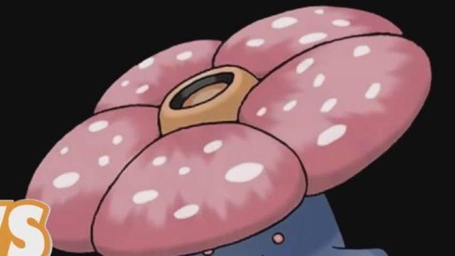 이름 대충 지은 포켓몬들