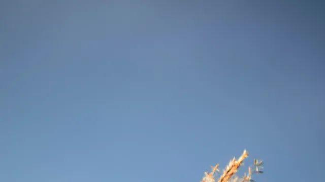 가을 막차는 하늘공원에서 (30장)