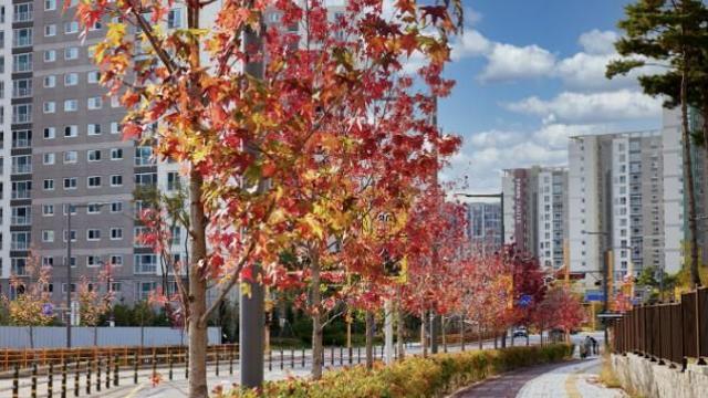 가을빛 물든 수원으로 단풍 구경 오세요!