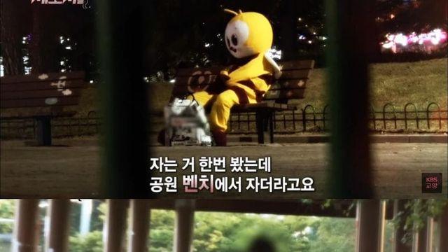 감동감동 고양시를 밤낮없이 배회하는 꿀벌이.jpg