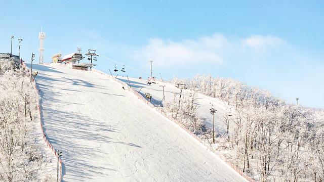 겨울에 무조건 가야하는 스키장 5