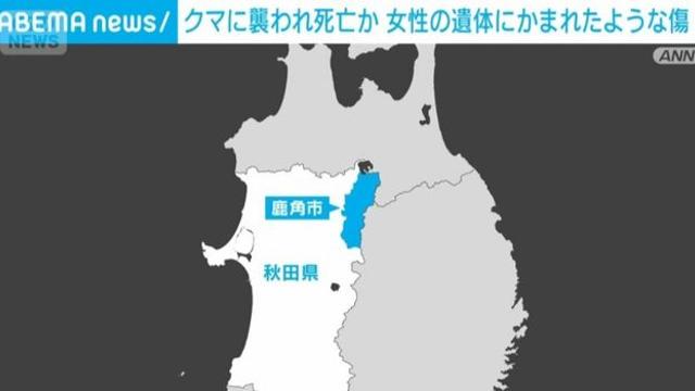 곰때문에 지옥도가 펼쳐진 일본근황