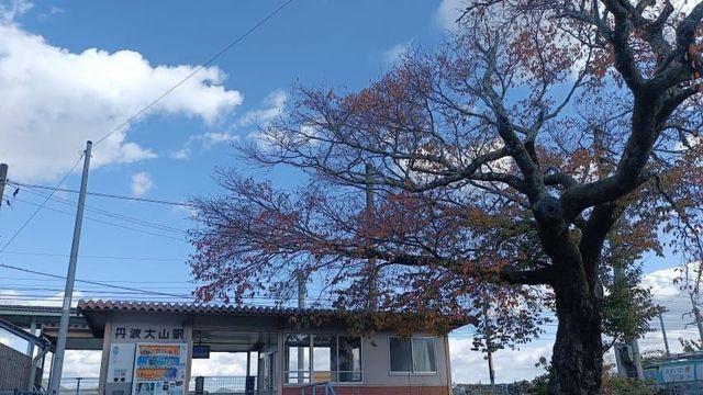 아들하고 공룡유적지 캠핑장 트레킹