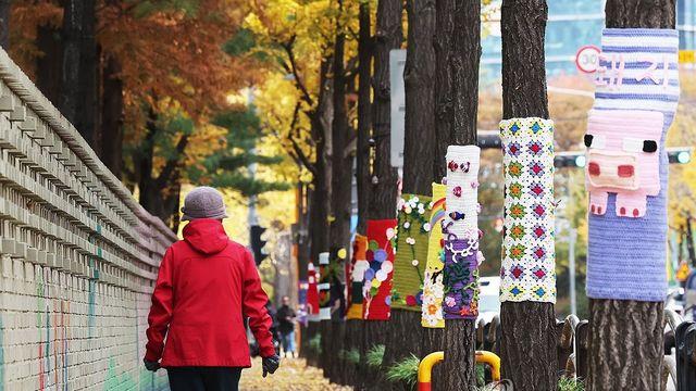 연천 백학 영하 8.1도…경기도 초겨울 추위