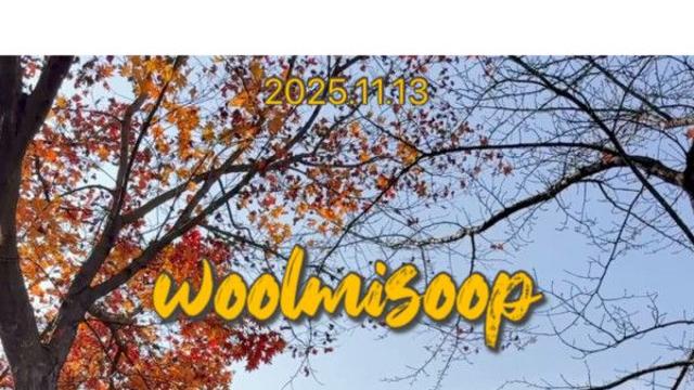 블랑이는 친구들과 울미숲 개이트????