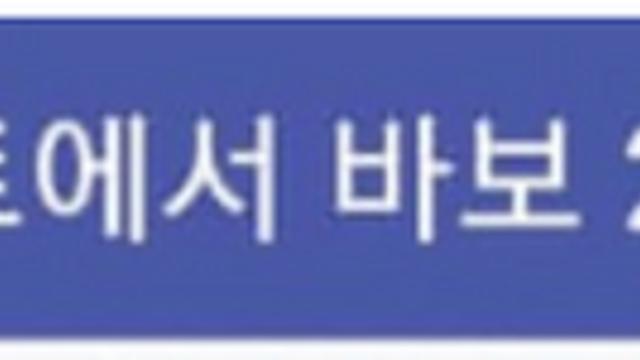 비오는 날 바보 2명.