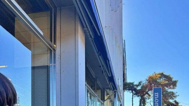 선자령, 연곡 솔향기 캠핑장 후기