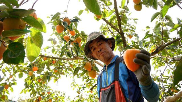 한국기행 오색빛 찬란한 가을입니다 1부 하동 고향집 풍경