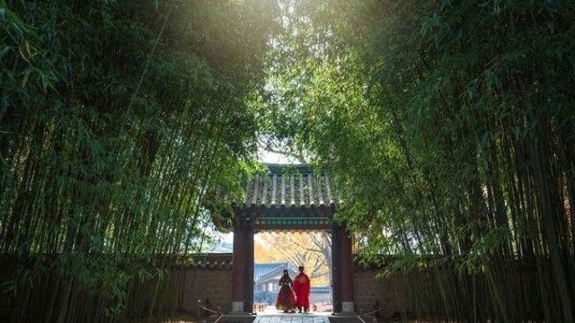 전주 가볼 만한 곳, 고즈넉한 한옥의 정취와 이색적인 맛을 찾아서