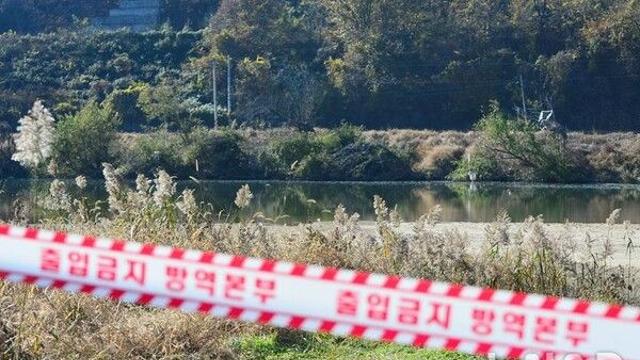 화성 산란계 농장 고병원성 AI 발생…정부, 전방위 방역관리 강화