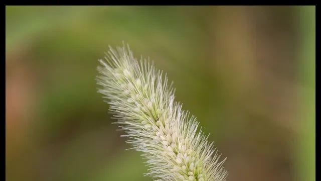 길가다 만난 너굴리. 오엠왕,올백사 SOOC