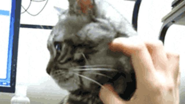 그러지 마라, 기분 안 좋다.