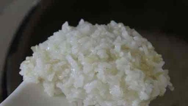 밥 평생 한 종류만 먹을 수 있다면?