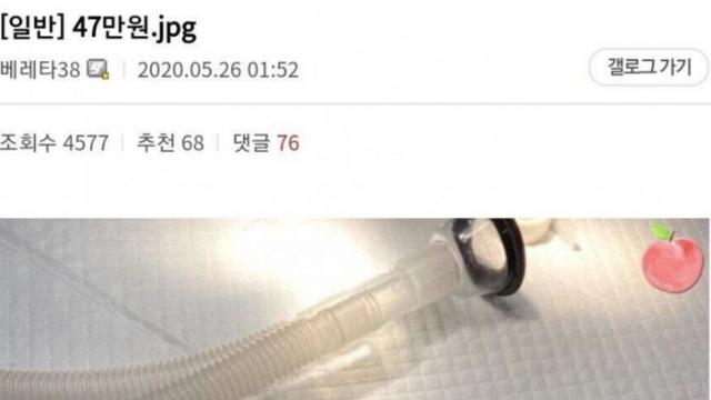 47만원짜리 햄스터.