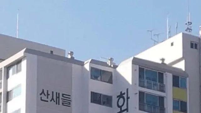 산에 아파트를 지어서