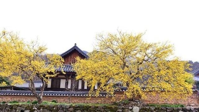 순천의 가을, 고즈넉한 산길과 맛의 향연으로 채우는 여행